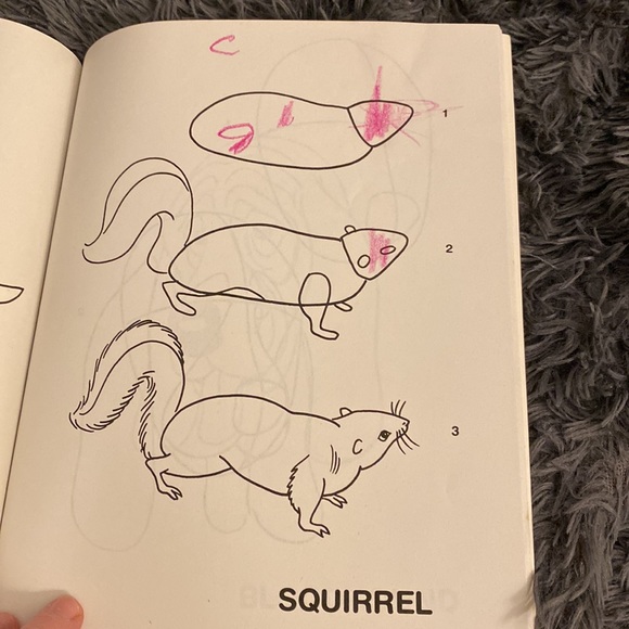 I Can Draw Animals BOOK - Picture 6 of 8